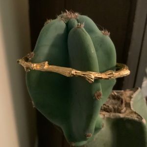 Lia Sophia branch bangle